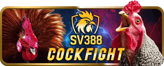 Khuyến mãi cwin666 casino mới nhất