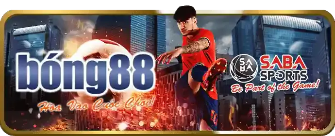 Đội ngũ hỗ trợ khách hàng chuyên nghiệp của cwin666